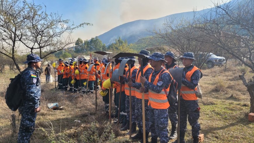 Estamos luchando contra el fuego 