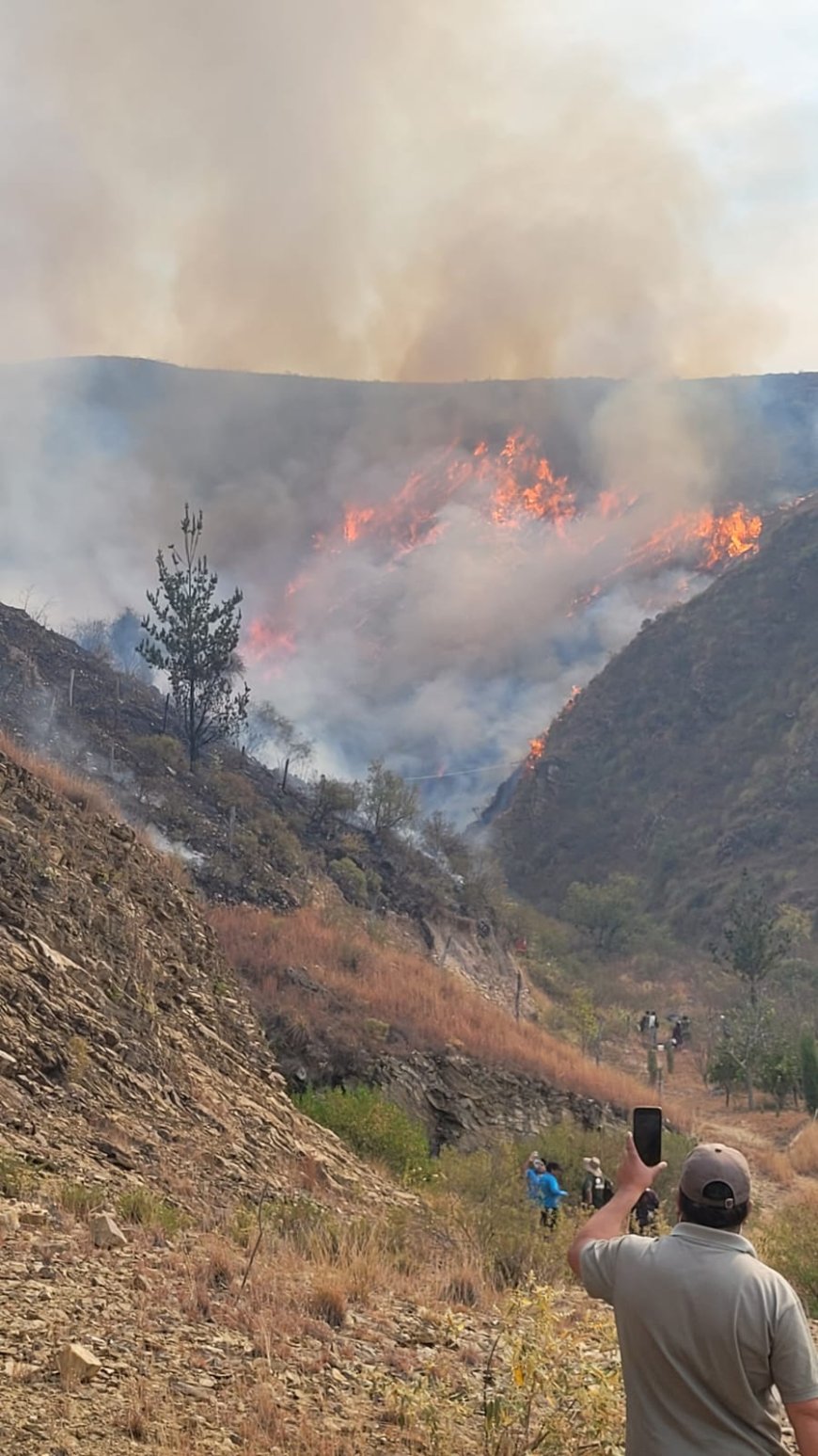Estamos luchando contra el fuego 
