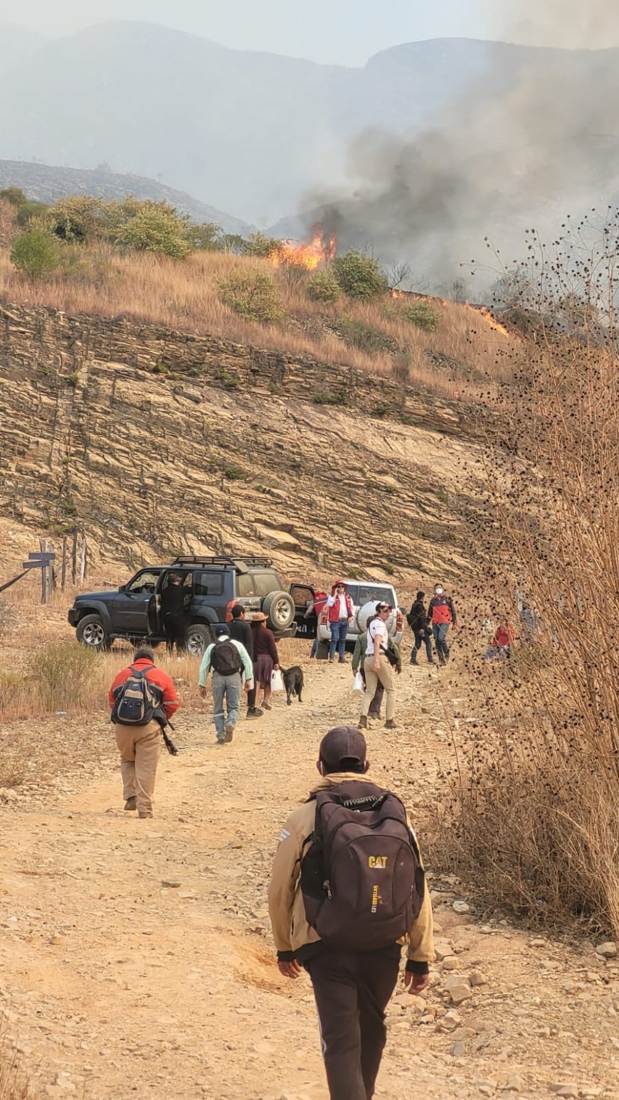 Estamos luchando contra el fuego 