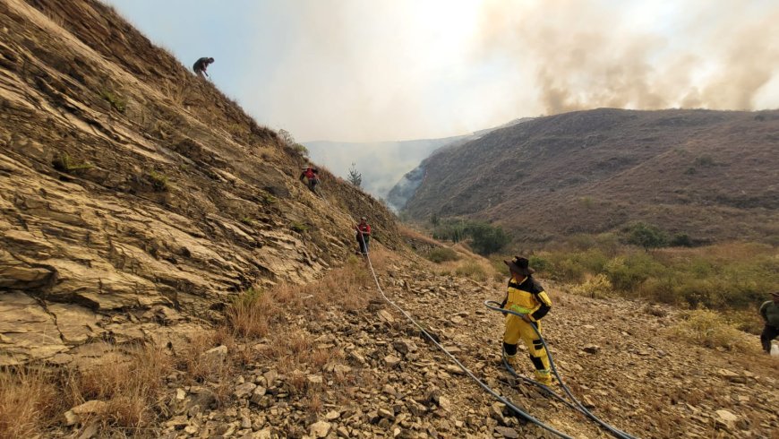 Estamos luchando contra el fuego 