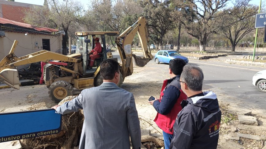Alcaldía de Tarija moviliza a  más de 300 trabajadores para atender las zonas afectadas por el viento