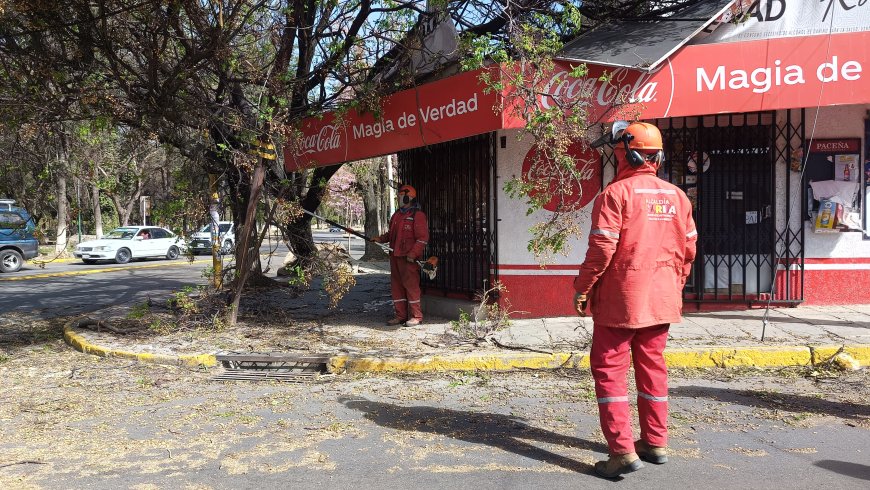 Alcaldía de Tarija moviliza a  más de 300 trabajadores para atender las zonas afectadas por el viento