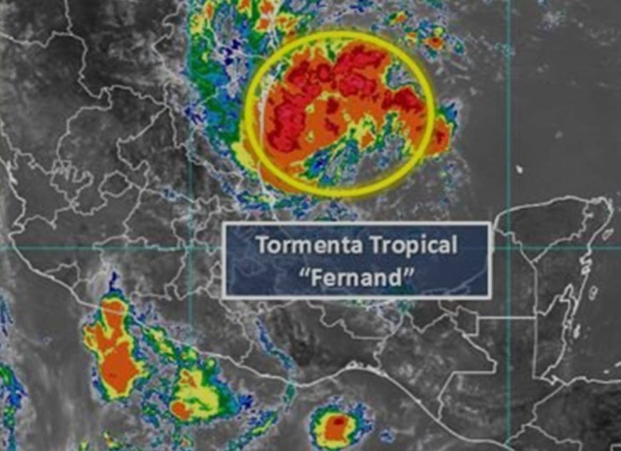 La tormenta tropical Fernand avanza hacia el Atlántic