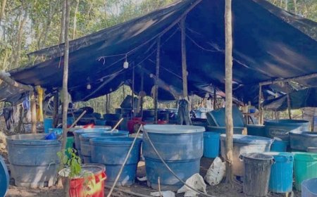 FELCN descubre e incinera marihuana en Yapacaní