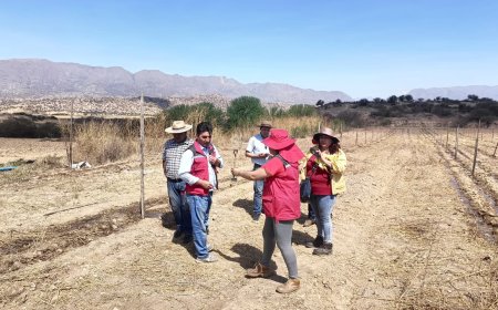 Alcaldía de Tarija entrega 1,500 plantines de nogal