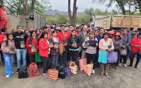 Alcaldía intercambió 10 mil plantines de rosas por bolsas y botellas plásticas