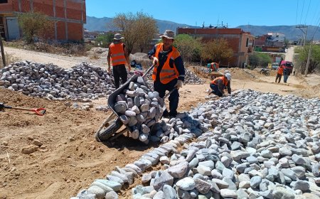 Alcaldía realiza empedrado de calles de cinco barrios del distrito 8