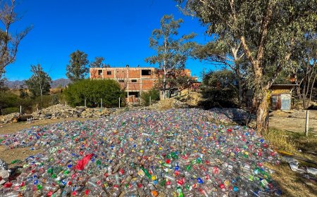 Alcaldía recolectó 70 mil botellas plásticas que servirán para elaborar arreglos navideños
