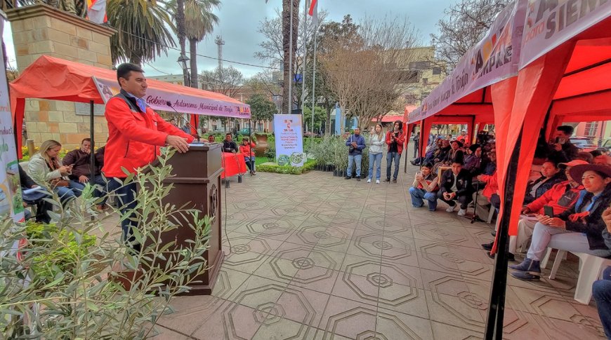 Alcalde de Tarija entrega 10 mil plantines de olivo para consolidar una segunda cadena productiva