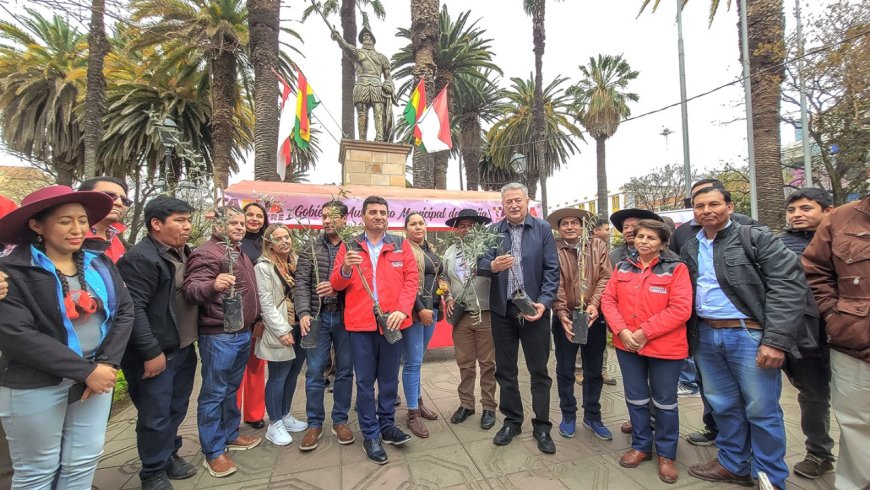 Alcalde de Tarija entrega 10 mil plantines de olivo para consolidar una segunda cadena productiva