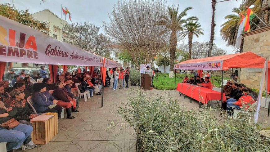 Alcalde de Tarija entrega 10 mil plantines de olivo para consolidar una segunda cadena productiva