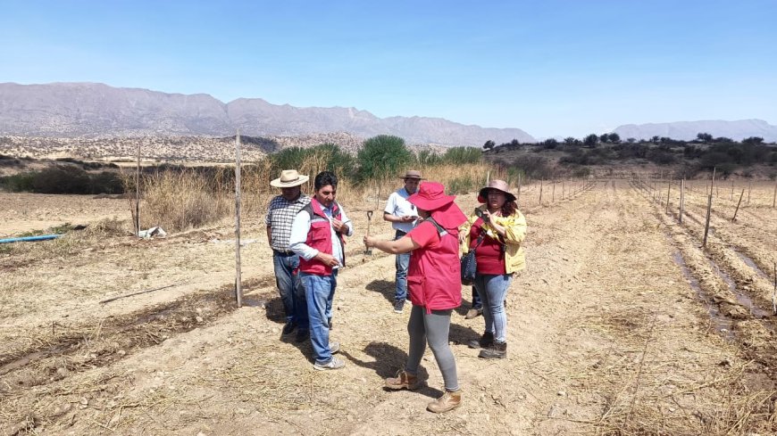 Alcaldía de Tarija entrega 1,500 plantines de nogal