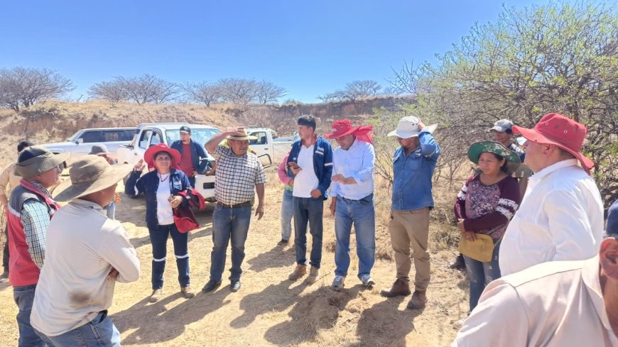 Alcaldía de Tarija entrega 1,500 plantines de nogal