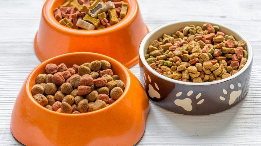 Encuentran venta de alimento para mascotas con fechas caducadas