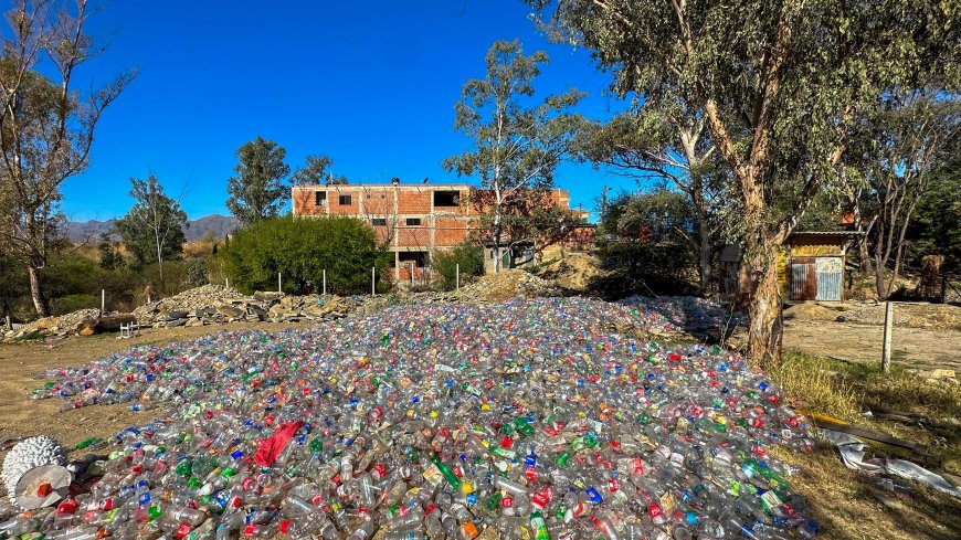 Alcaldía recolectó 70 mil botellas plásticas que servirán para elaborar arreglos navideños