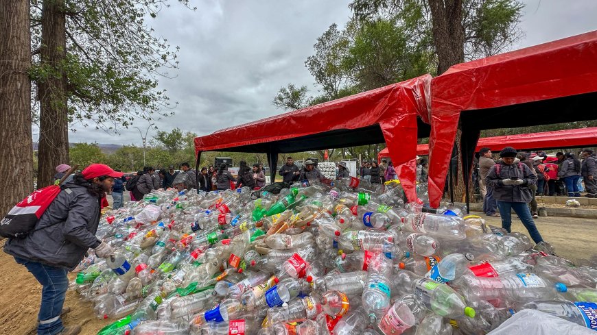 Alcaldía recolectó 70 mil botellas plásticas que servirán para elaborar arreglos navideños