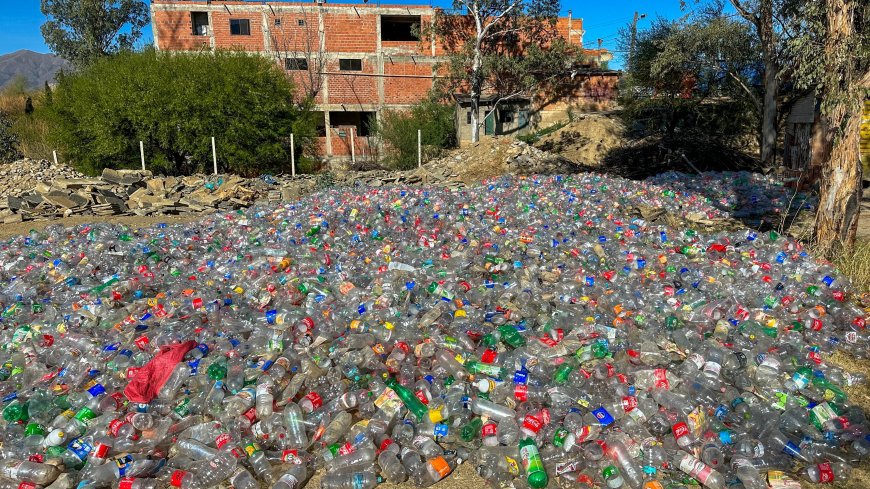 Alcaldía recolectó 70 mil botellas plásticas que servirán para elaborar arreglos navideños