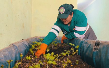 Alcaldía de Tarija transforma 30 toneladas de Residuos Orgánicos en abono de alta calidad