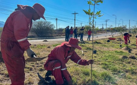 La Dirección de Obras Públicas impulsa arborización por el Mes del Árbol