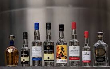 Singanis bolivianos ganan 6 medallas de oro y plata