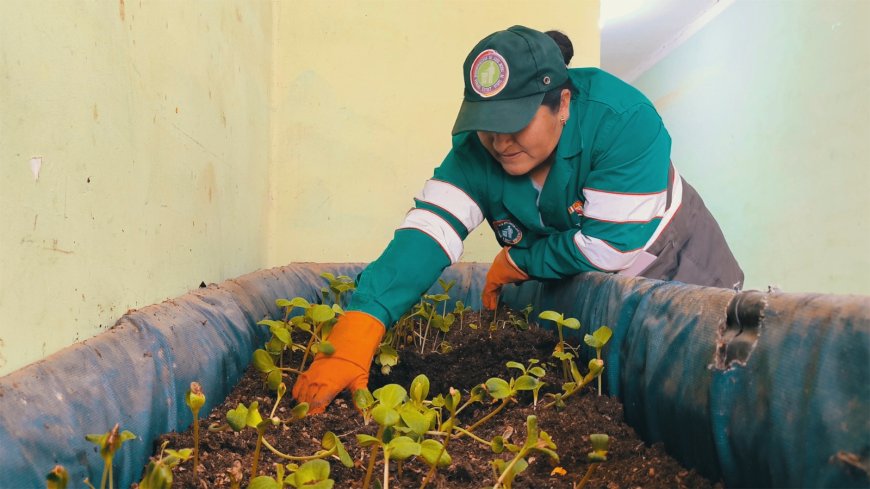 Alcaldía de Tarija transforma 30 toneladas de Residuos Orgánicos en abono de alta calidad