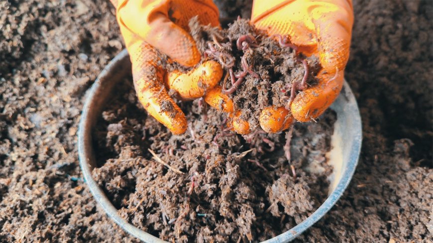 Alcaldía de Tarija transforma 30 toneladas de Residuos Orgánicos en abono de alta calidad