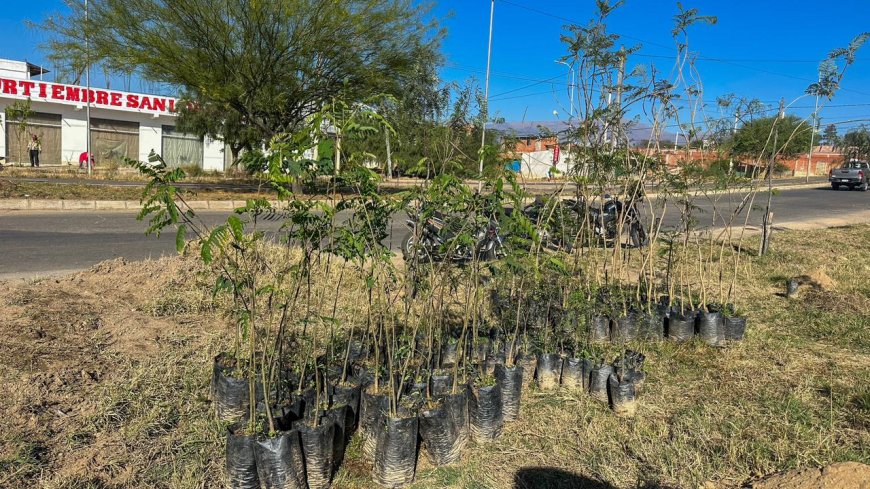 La Dirección de Obras Públicas impulsa arborización por el Mes del Árbol