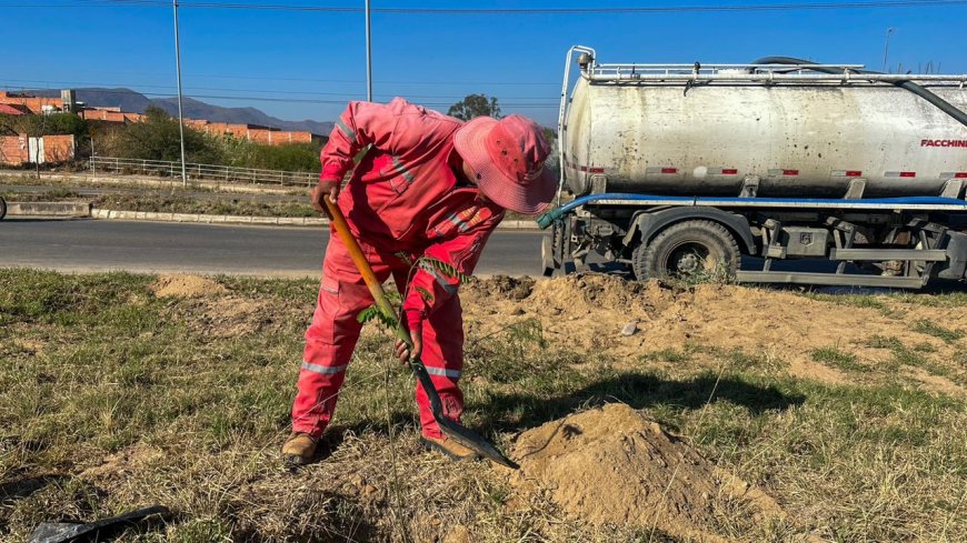 La Dirección de Obras Públicas impulsa arborización por el Mes del Árbol
