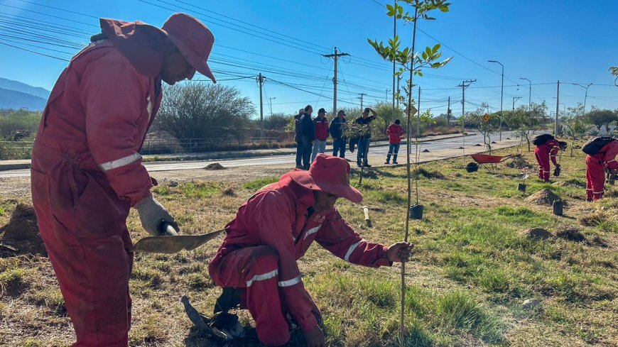 La Dirección de Obras Públicas impulsa arborización por el Mes del Árbol