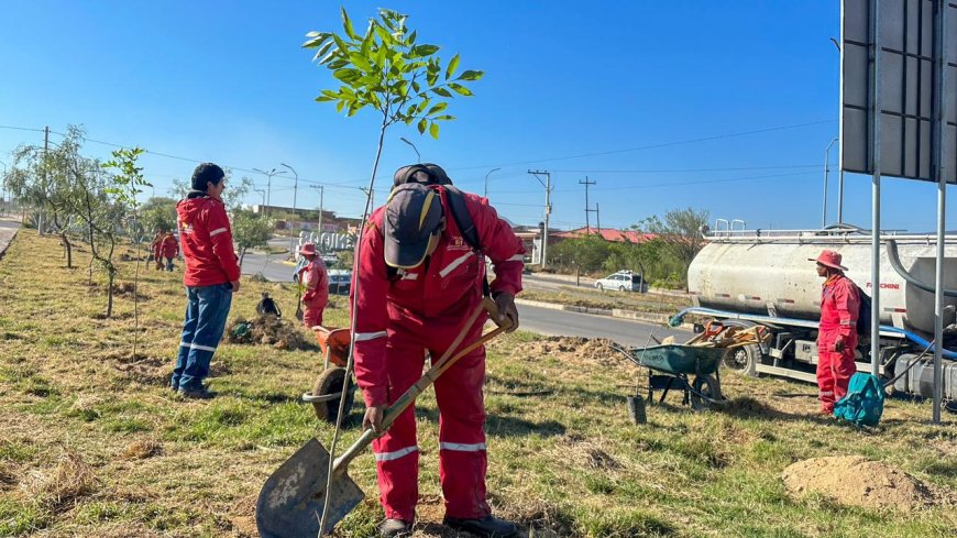 La Dirección de Obras Públicas impulsa arborización por el Mes del Árbol