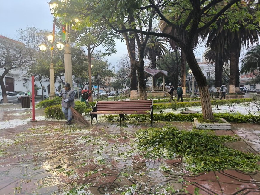 EMAT movilizó brigadas de emergencia para la limpieza de la ciudad