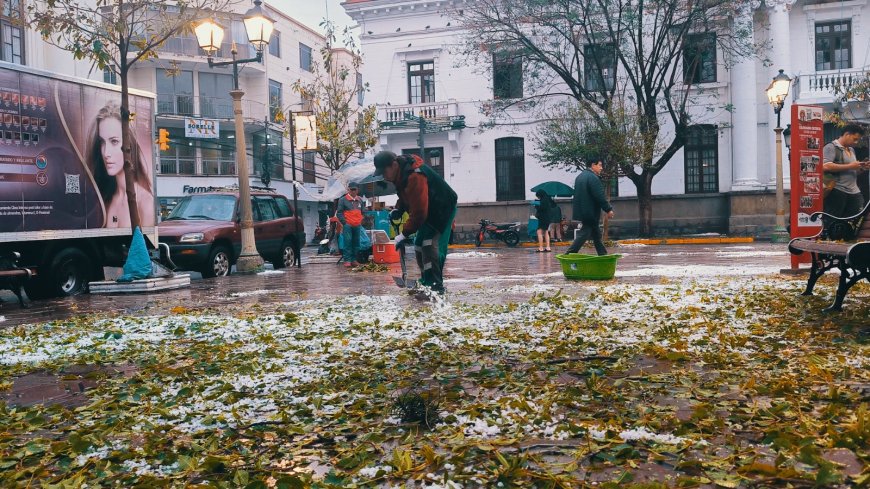 EMAT movilizó brigadas de emergencia para la limpieza de la ciudad
