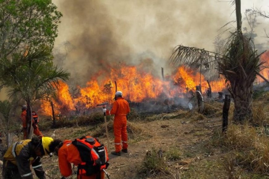 Incendios forestales en Potosí arrasaron más de 15 mil hectáreas de pastizales