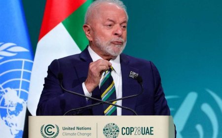 El gobierno de Brasil lanzó un fondo internacional para proteger los bosques tropicales del mundo