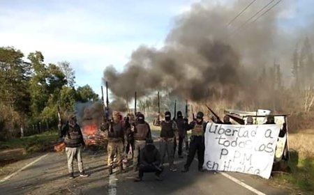Nuevo ataque incendiario de un grupo radical mapuche