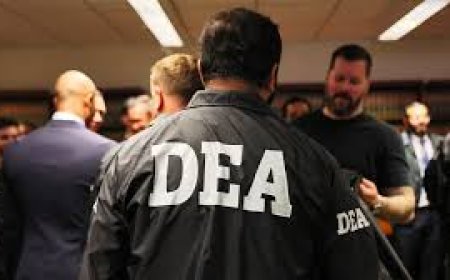 En los Yungas no hay temor por la DEA