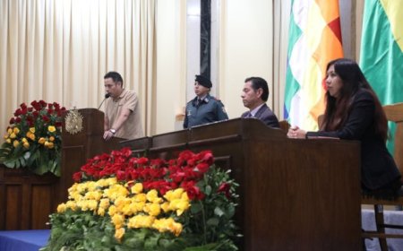 Vicepresidente Lara designa secretario general y jefa de Gabinete