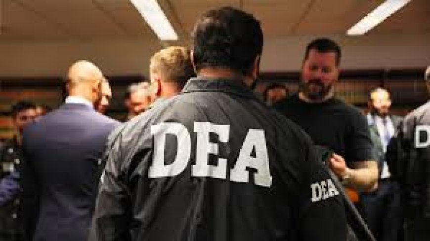 En los Yungas no hay temor por la DEA