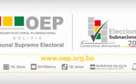 TSE inicia empadronamiento para subnacionales 2026