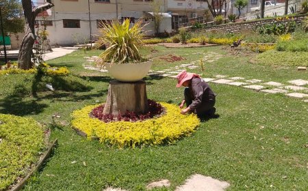 Obras Públicas intensifica trabajos de embellecimiento de áreas verdes rumbo a la temporada alta de turismo en Tarija