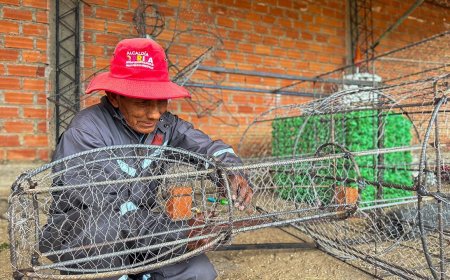 La Alcaldía de Tarija a través de la dirección de obras públicas estan realizando adornos navideños