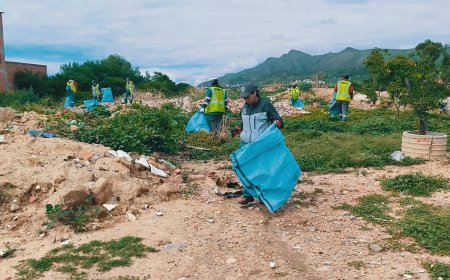 Alcaldía a travez de EMAT realizo limpieza del barrio Panamericano