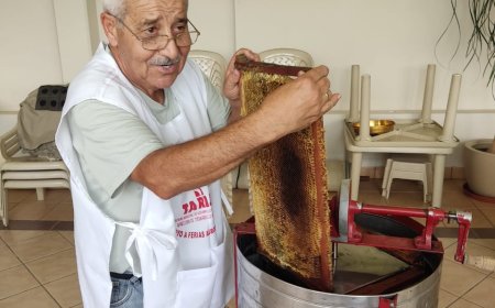 Alcaldía de Tarija continúa impulsando la producción de miel y la actividad apícola