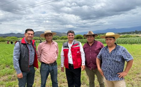 Alcaldía de Tarija dio inicio a la instalación de sistemas de riego tecnificado en la comunidad de  Tablada Sud