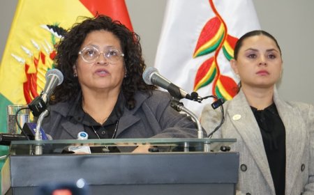 Bolivia declara alerta epidemiológica nacional por influenza H3N2