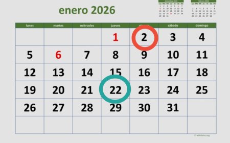 Gobierno oficializa feriado del 2 de enero y decide mantener el del 22 de enero