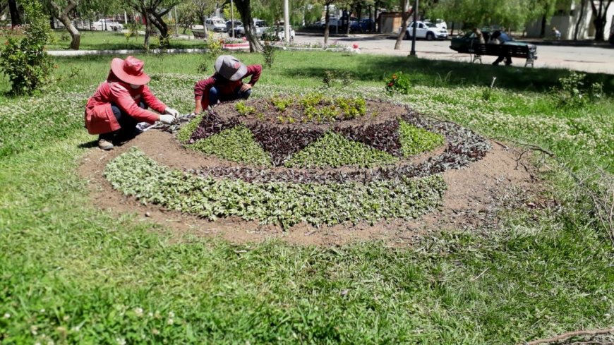 Obras Públicas intensifica trabajos de embellecimiento de áreas verdes rumbo a la temporada alta de turismo en Tarija