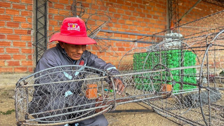 La Alcaldía de Tarija a través de la dirección de obras públicas estan realizando adornos navideños