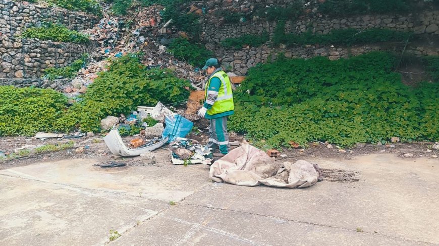 Alcaldía a travez de EMAT realizo limpieza del barrio Panamericano