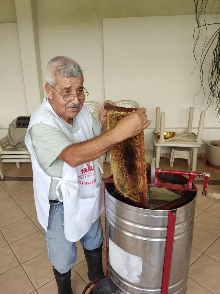 Alcaldía de Tarija continúa impulsando la producción de miel y la actividad apícola